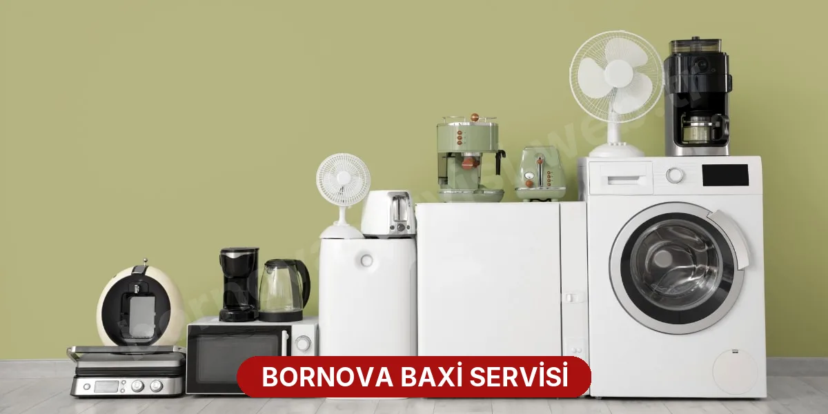 Bornova Baxi Servisi
