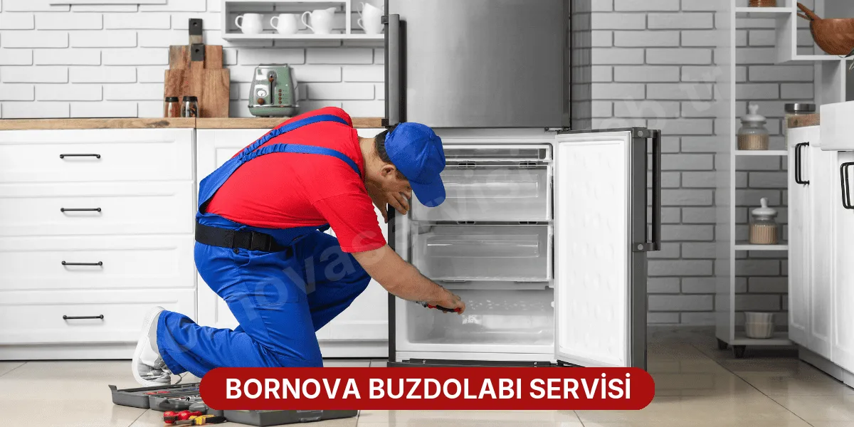 Bornova Buzdolabı Servisi