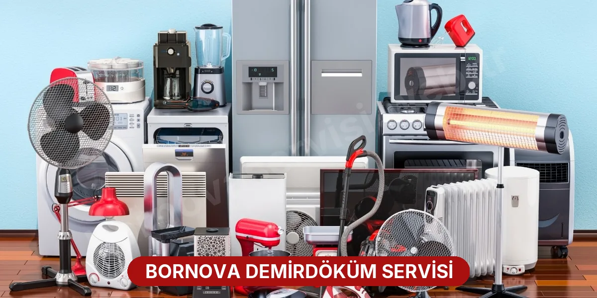 Bornova Demirdöküm Servisi