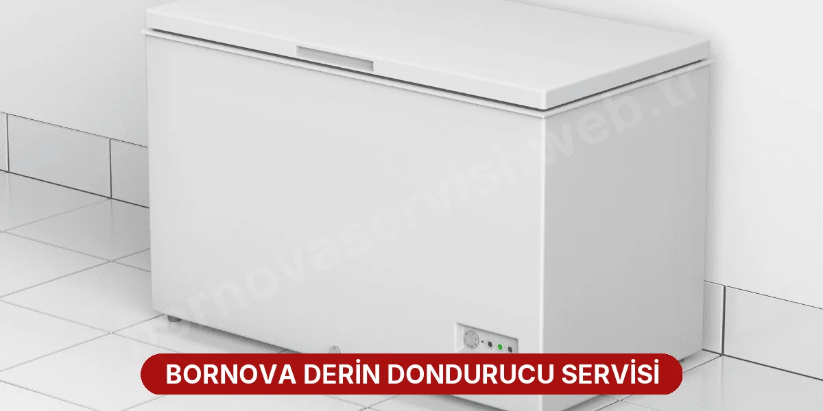 Bornova Derin Dondurucu Servisi