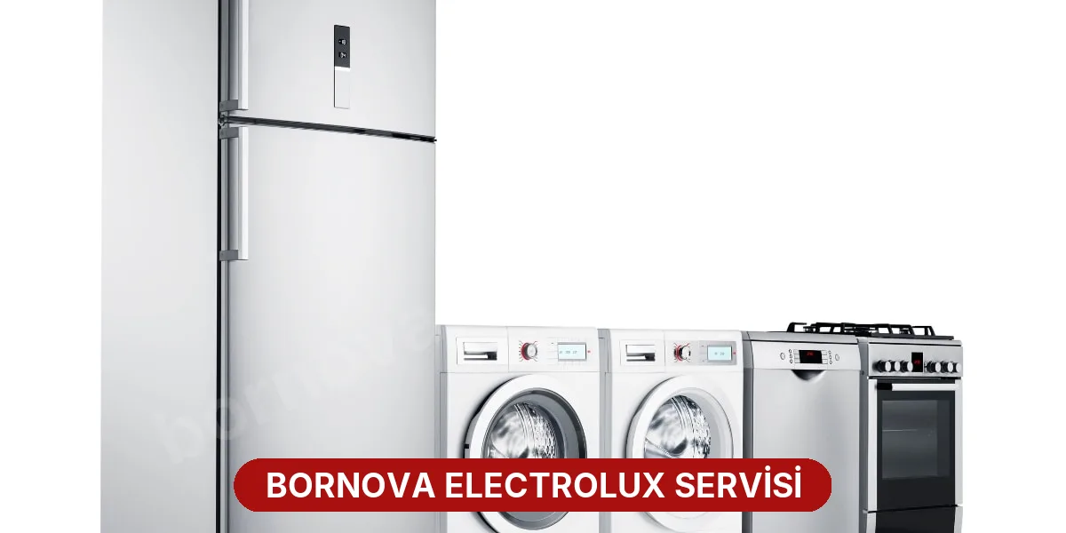 Bornova Electrolux Servisi