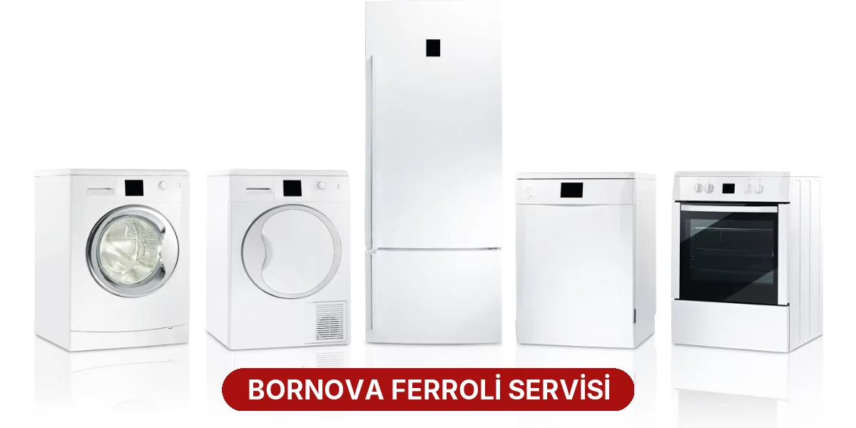 Bornova Ferroli Servisi