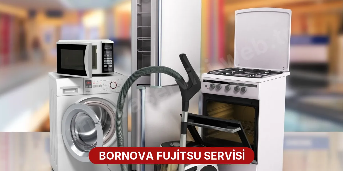 Bornova Fujitsu Servisi