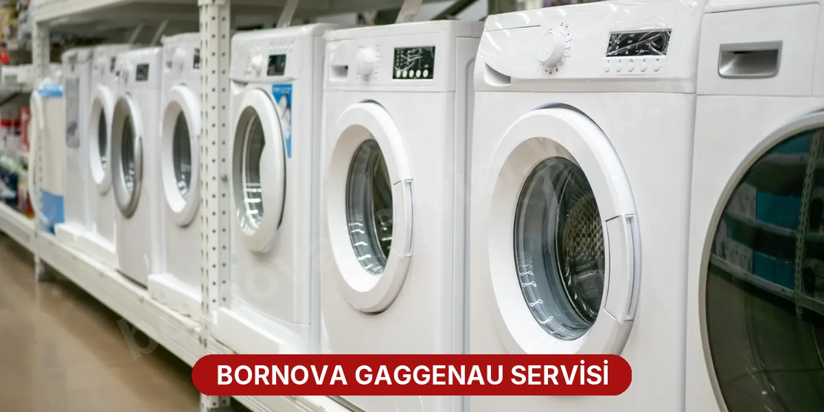 Bornova Gaggenau Servisi