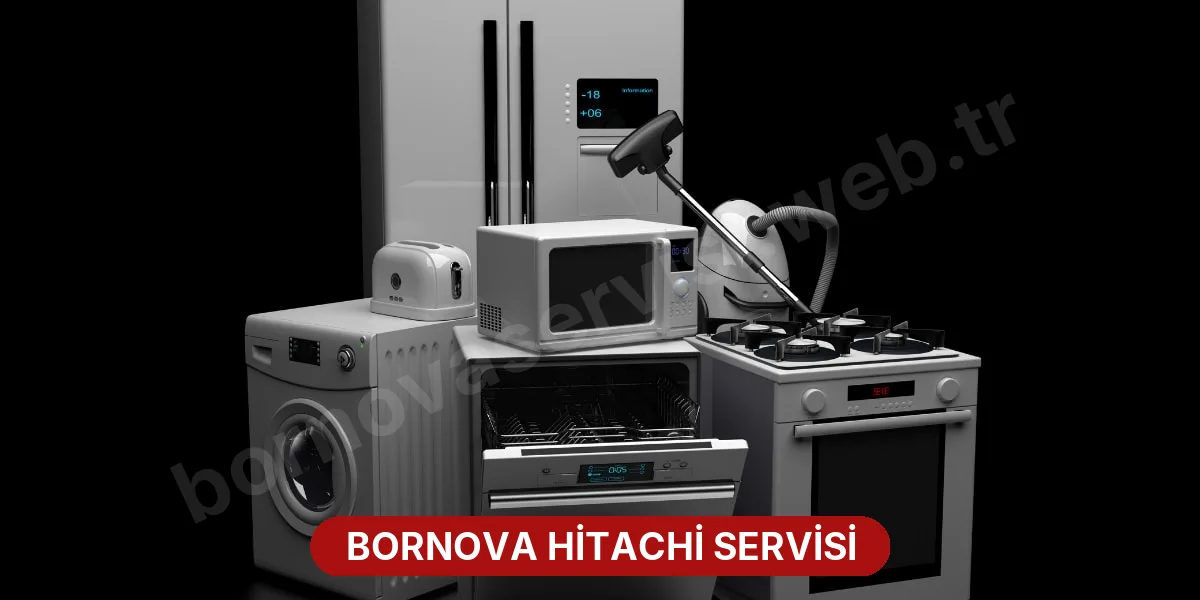 Bornova Hitachi Servisi