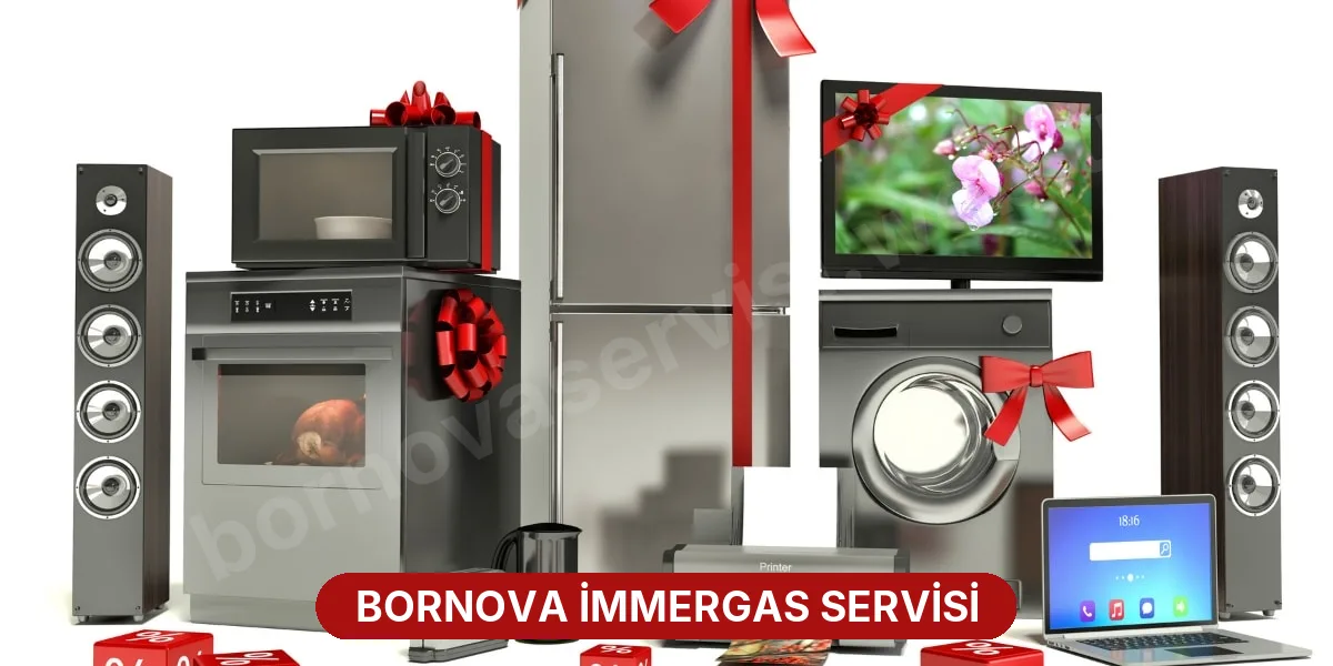 Bornova İmmergas Servisi