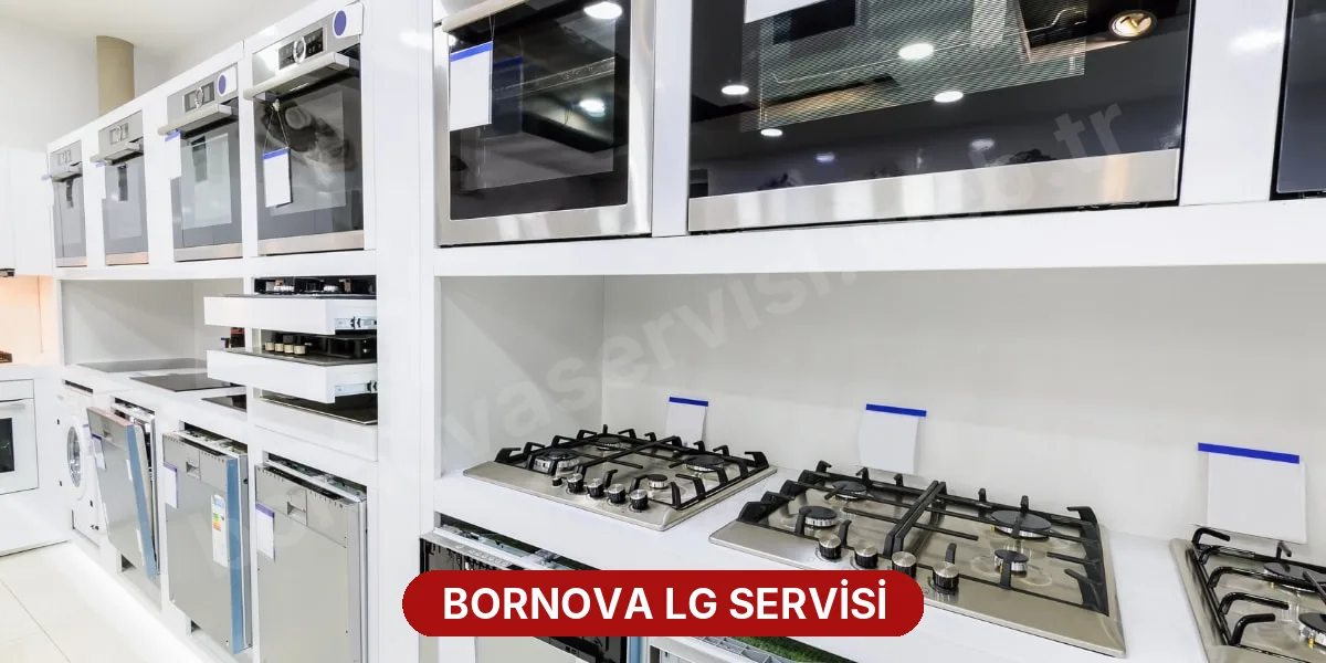 Bornova LG Servisi