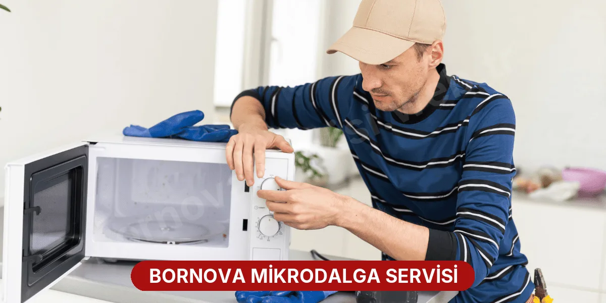 Bornova Mikrodalga Servisi