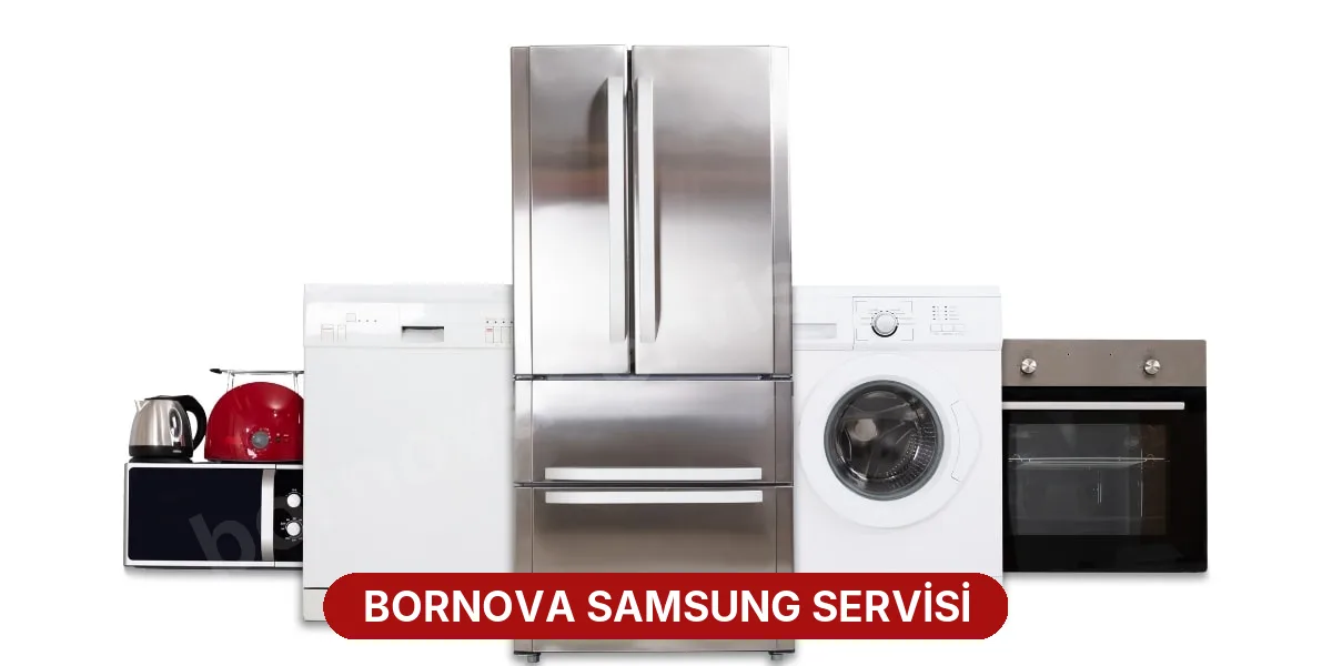 Bornova Samsung Servisi