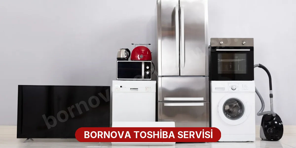 Bornova Toshiba Servisi