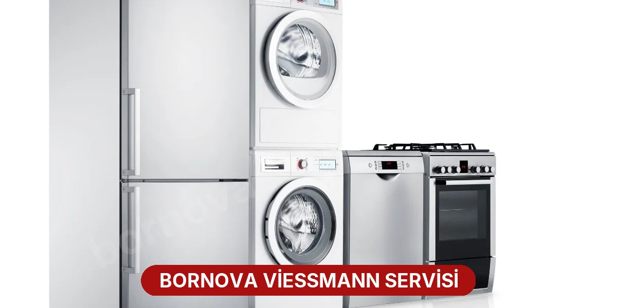 Bornova Viessmann Servisi