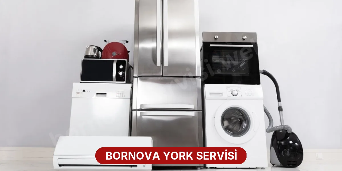 Bornova York Servisi